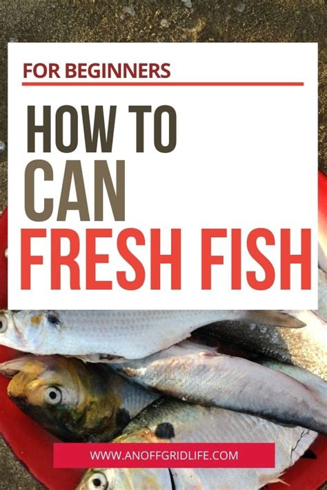 How to Can Fresh Fish For Beginners | Canned fish recipes, Fresh fish, Pressure canning recipes