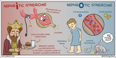 medical: Nephritic syndrome vs nephrotic