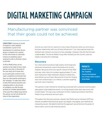 8+ Digital Marketing Campaign Examples in PDF | Examples