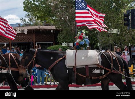 The Mule Days Parade is a staple of the Mule Days celebration in Bishop ...