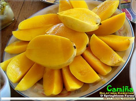 Everybody loves Guimaras mangoes