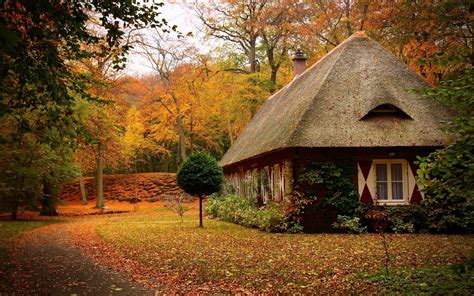 Nature Home Wallpaper (68+ pictures) - WallpaperSet