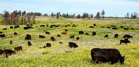 Photography – Petroleum County Montana