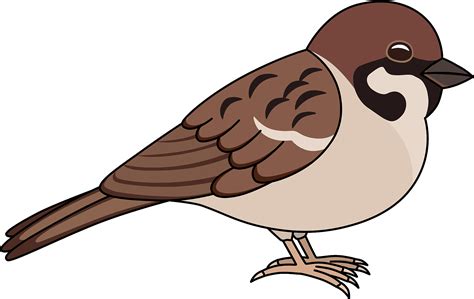 Download Clipart Sparrows - Png Download (#5534677) - PinClipart