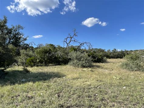 Texana Oaks Ranch » Texas Owner Finance Ranches 5% DOWN