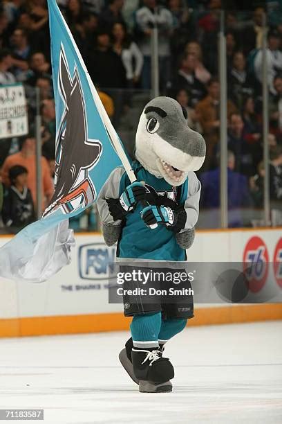 San Jose Sharks Mascot Photos and Premium High Res Pictures - Getty Images