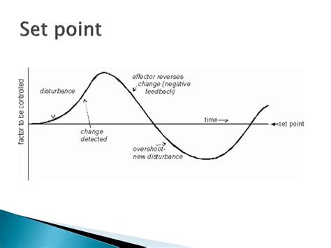 PPT - Coordination and Regulation PowerPoint Presentation, free download - ID:2379630