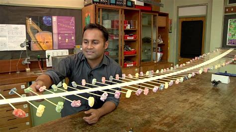 How to Build a Simple Wave Machine With Duct Tape, Skewers, and Jelly Babies | Science ...