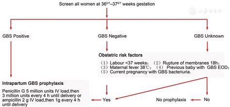 Prevention of Perinatal Group B Streptococcus Infections | Maternal-Fetal Medicine