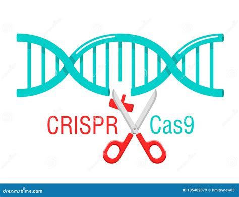 CRISPR Cas9 DNA Spiral Cutting Stock Vector - Illustration of cutting ...