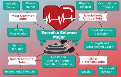 Degree In Exercise Science And Nutrition - Exercise Poster