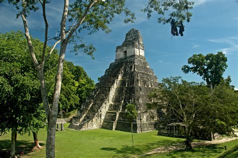 Tikal Pyramide, Belize | Places to visit, Tikal, Beautiful places to visit