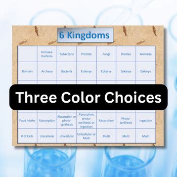 6 Kingdoms Chart by DrH Biology | Teachers Pay Teachers