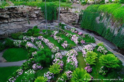 The Cave Gardens in Umpherston Sinkhole Image | Fine Art Landscape ...