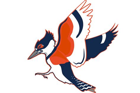 The University of Illinois Might Make a Kingfisher Its New Mascot. It ...