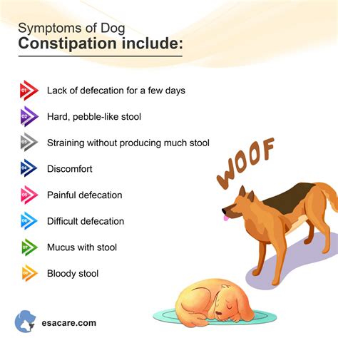 How to Treat Your Dog's Constipation - ESA Care