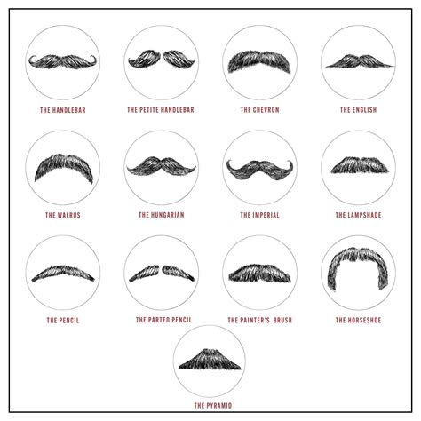 Which moustache are you? : r/Moustache