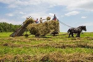 Hay - Living History Farms, Iowa | learning-fields