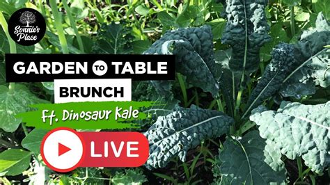 Cooking Live: Sautéed Dino Kale with Bacon and Garlic | Garden to Table Brunch - YouTube