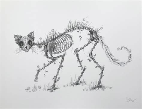 Cat Skeleton Graphite Drawing Print Original Artwork Spooky - Etsy UK