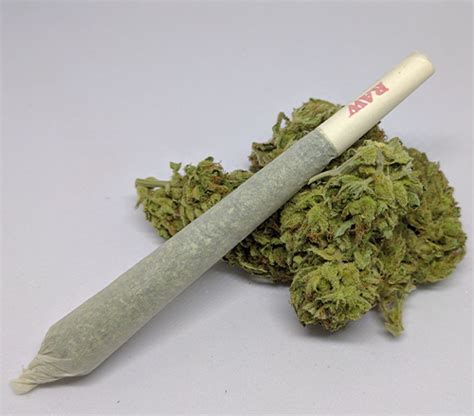 Joint Filters - A Cleaner, Better Tasting Hit - Marijuana Science