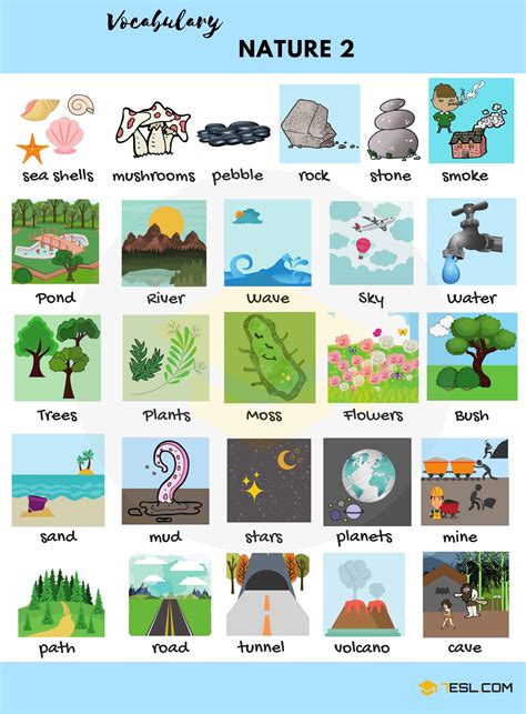 Nature Words: Useful Nature Vocabulary in English • 7ESL