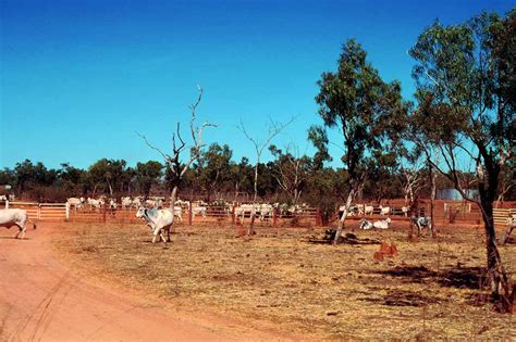 McArthur River Station | Borroloola | Northern Territory | Australia | OzOutback