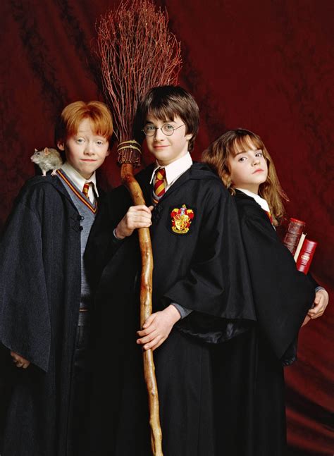 Harry, Ron y Hermione - Harry Potter Photo (19114948) - Fanpop