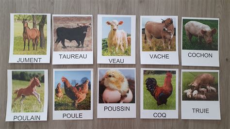 Vocabulaire animaux de la ferme | Maîtresse Jéro