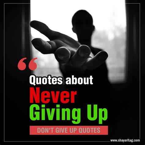 Never give up quotes - Shayaritag