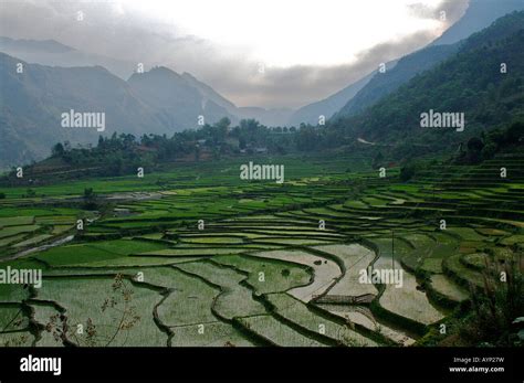 Sapa Rice Terraces Stock Photo - Alamy