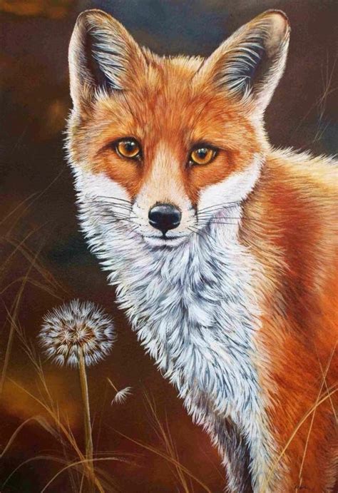 Fox Wildlife Paintings, Wildlife Artists, Animal Paintings, Animal Drawings, Horse Drawings ...