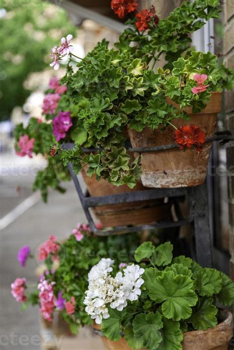 Flower pots on a balcony 11195117 Stock Photo at Vecteezy