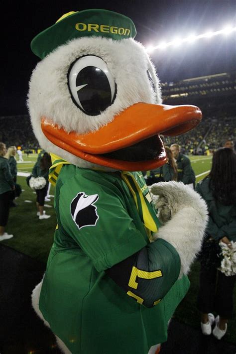 Ducks, The duck and The player on Pinterest