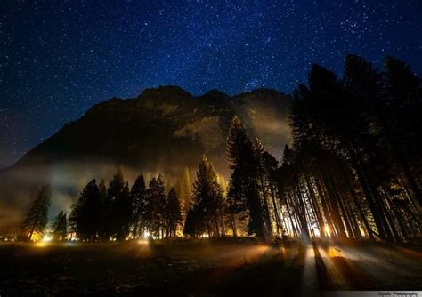 Dark Forest Photo Contest Winners! - VIEWBUG.com