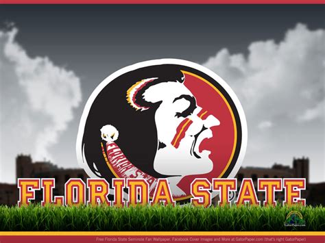 🔥 Free Download Seminoles Field Level Gatorpaper Sports Desktop Wallpaper by @angelajackson ...