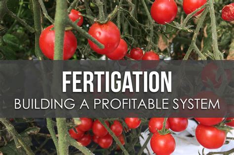 How to Build a Profitable Fertigation System in a Hoophouse - Upstart University