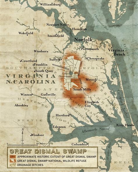 Deep in the Swamps, Archaeologists Are Finding How Fugitive Slaves Kept Their Freedom | Swamp ...