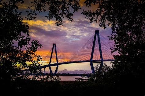 Ravenel Bridge Naturally Framed Photograph by Nicholas Skylar Holzworth