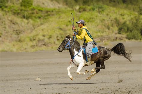 Bonsai horse racing in Sumbawa - Latitudes