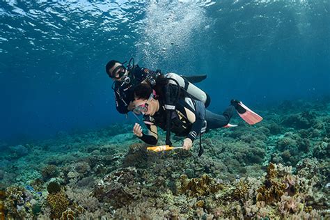 Discovery Dive in Anilao, Batangas – Travel Up