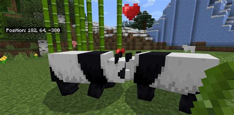 How to Tame a Panda in Minecraft