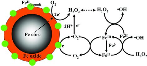 Schematic Illustration of the Enhanced Fenton Oxidation by Fe@Fe 2 O 3... | Download Scientific ...