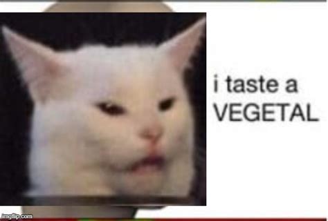 Salad Cat I taste a vegetal (Trial was here) - Imgflip