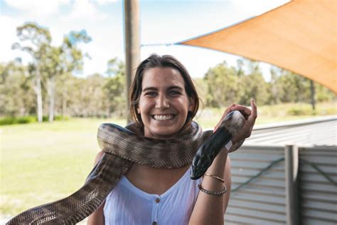 Snakes In The Whitsundays - Sailing Whitsundays