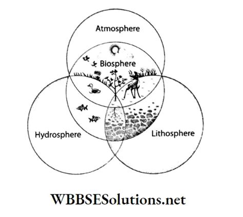 WBBSE Solutions For Class 6 Geography Chapter 5 Water Land Air Topic C ...