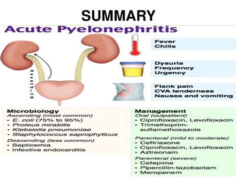 Pyelonephritis, ACUTE PYELONEPHRITIS, CHRONIC PYELONEPHRITIS,