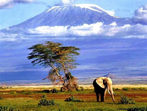 Tanzania Wallpapers | HD Wallpapers Plus