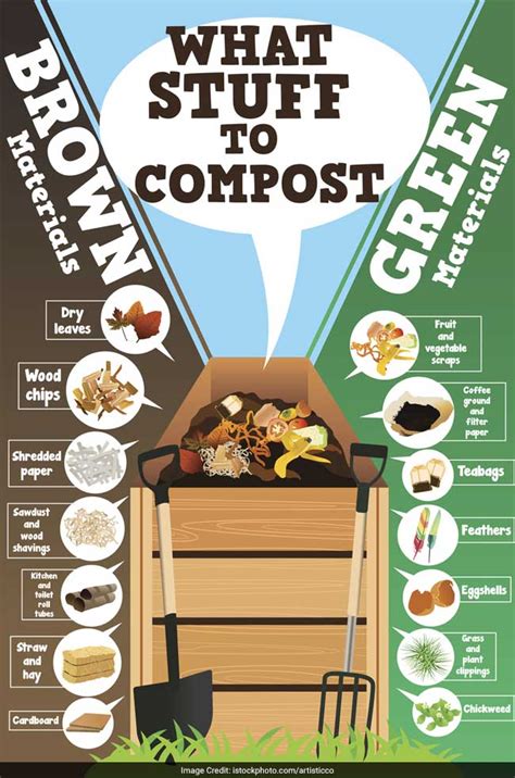 From Garbage To Garden: Learn The Art Of Composting At Home | Waste ...