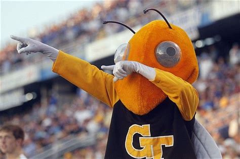 Risultati immagini per buzz ga tech mascot | Georgia tech, Georgia institute of technology, Mascot